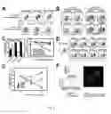 Fig. 07 - Methods of producing T cell populations enriched for stable regulatory T-cells
