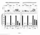 Fig. 08 - Methods of producing T cell populations enriched for stable regulatory T-cells