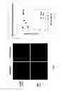 Fig. 08 - Method for generating high-titer hepatitis E virus stocks and titration assay for hepatitis E virus