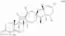 Fig. 10 - Engineered biocatalysts and methods for synthesizing chiral amines