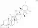 Fig. 12 - Engineered biocatalysts and methods for synthesizing chiral amines
