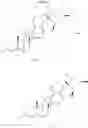Fig. 23 - Engineered biocatalysts and methods for synthesizing chiral amines