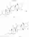 Fig. 28 - Engineered biocatalysts and methods for synthesizing chiral amines