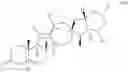 Fig. 31 - Engineered biocatalysts and methods for synthesizing chiral amines