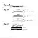 Fig. 43 - REDUCTION OF OFF-TARGET RNA INTERFERENCE TOXICITY