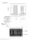 Fig. 03 - METHOD OF REGULATING GENE EXPRESSION