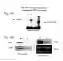 Fig. 05 - METHOD OF REGULATING GENE EXPRESSION