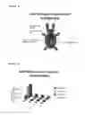 Fig. 02 - METHOD OF TREATING KELOIDS OR HYPERTROPHIC SCARS USING ANTISENSE COMPOUNDS TARGETING CONNECTIVE TISSUE GROWTH FACTOR (CTGF)