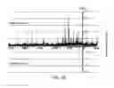 Fig. 11 - Polycomb-associated non-coding RNAs