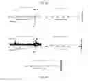 Fig. 12 - Polycomb-associated non-coding RNAs