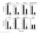 Fig. 16 - Polycomb-associated non-coding RNAs