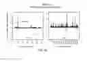 Fig. 28 - Polycomb-associated non-coding RNAs
