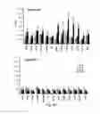Fig. 47 - Polycomb-associated non-coding RNAs
