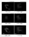Fig. 49 - Methods of Producing a Secreted Protein