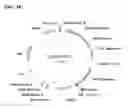 Fig. 45 - Class of glyphosate resistance genes