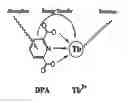 Fig. 01 - METHOD AND APPARATUS FOR DETECTING AND QUANTIFYING BACTERIAL SPORES ON A SURFACE