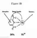 Fig. 03 - METHOD AND APPARATUS FOR DETECTING AND QUANTIFYING BACTERIAL SPORES ON A SURFACE
