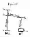 Fig. 04 - METHOD AND APPARATUS FOR DETECTING AND QUANTIFYING BACTERIAL SPORES ON A SURFACE