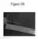 Fig. 06 - METHOD AND APPARATUS FOR DETECTING AND QUANTIFYING BACTERIAL SPORES ON A SURFACE