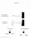 Fig. 06 - MULTIPLE-EMULSION NUCLEIC ACID AMPLIFICATION