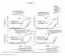 Fig. 22 - MULTIPLE-EMULSION NUCLEIC ACID AMPLIFICATION
