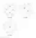 Fig. 33 - Composite liquid cells