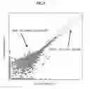 Fig. 09 - RNA microarray for detecting interaction between protein and RNA containing a higher-order structure