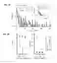 Fig. 07 - DETECTION AND QUANTIFICATION OF METHYLATION IN DNA