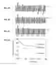 Fig. 08 - DETECTION AND QUANTIFICATION OF METHYLATION IN DNA