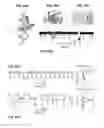 Fig. 30 - DETECTION AND QUANTIFICATION OF METHYLATION IN DNA