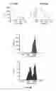 Fig. 40 - DETECTION AND QUANTIFICATION OF METHYLATION IN DNA