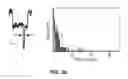 Fig. 41 - DETECTION AND QUANTIFICATION OF METHYLATION IN DNA