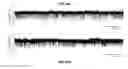 Fig. 43 - DETECTION AND QUANTIFICATION OF METHYLATION IN DNA