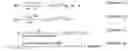 Fig. 02 - Amplification of nanoparticle based assay