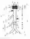 Fig. 04 - Amplification of nanoparticle based assay