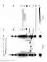 Fig. 22 - Amplification of nanoparticle based assay