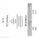 Fig. 29 - Biomarker pairs for predicting preterm birth