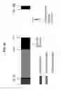 Fig. 41 - Biomarker pairs for predicting preterm birth