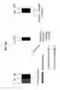 Fig. 43 - Biomarker pairs for predicting preterm birth