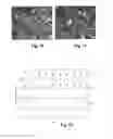 Fig. 06 - Heat treatment of an alloy based on titanium aluminide