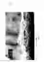 Fig. 03 - Enhanced co-formed meltblown fibrous web structure and method for manufacturing