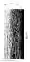 Fig. 06 - Enhanced co-formed meltblown fibrous web structure and method for manufacturing