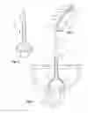 Fig. 02 - PUNGER WITH SPLASHGUARD