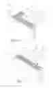 Fig. 05 - Insulated concrete masonry system