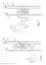 Fig. 06 - Concrete form panel and a fastening system and method for fastening form hardware on the concrete form panel
