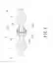 Fig. 07 - SAFETY BEAD CHAIN FOR BLINDS