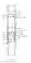 Fig. 09 - Tool and method for fracturing a wellbore