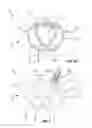 Fig. 04 - Rotating piston internal combustion engine