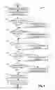 Fig. 05 - Method for operating a fuel injection system