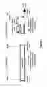 Fig. 04 - Internal Combustion Engine Having a Splitted Fuel Admission and a Respective Combustion Process